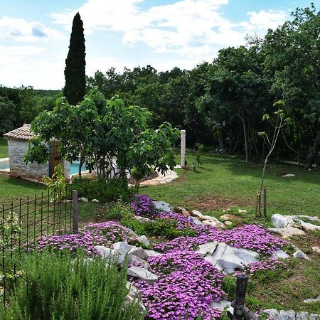 Cottage Al Merlo Olivo 부제 외부 사진