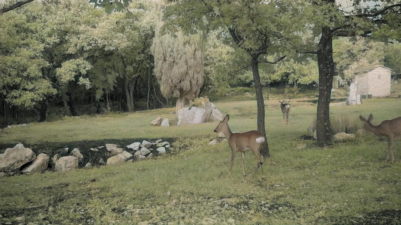 Cottage Al Merlo Olivo 부제 외부 사진