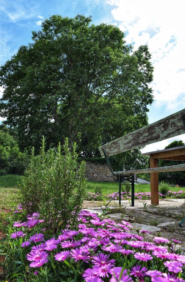Cottage Al Merlo Olivo 부제 외부 사진
