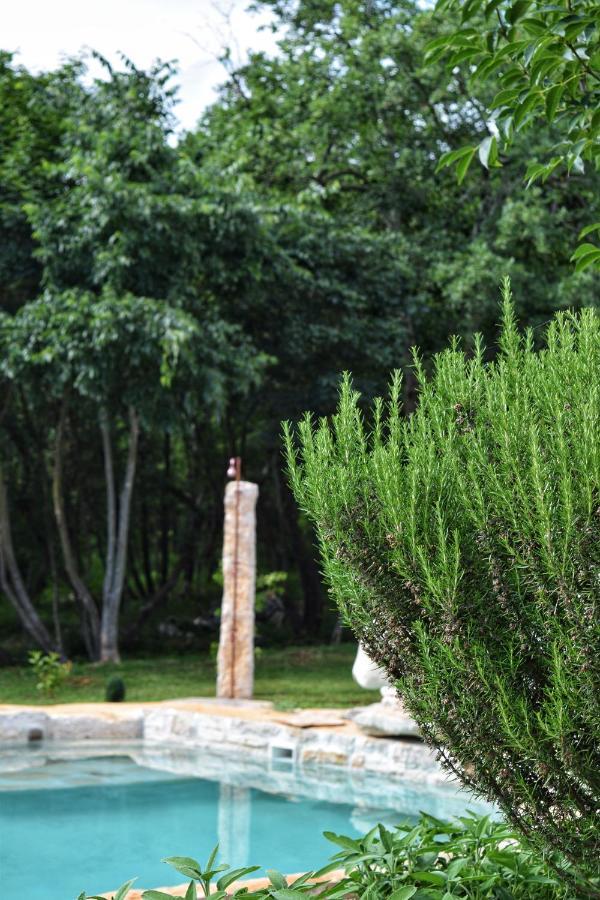 Cottage Al Merlo Olivo 부제 외부 사진