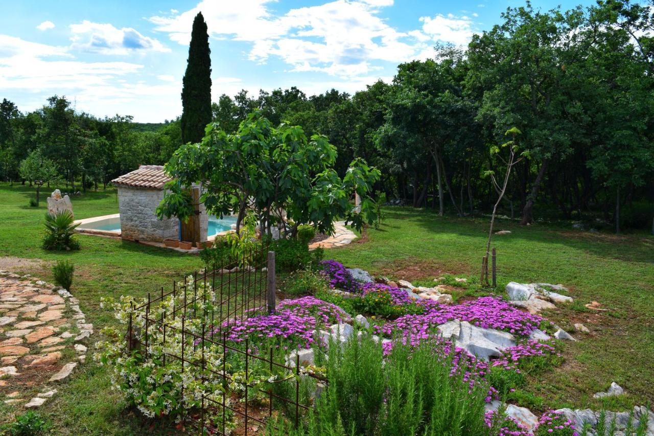 Cottage Al Merlo Olivo 부제 외부 사진