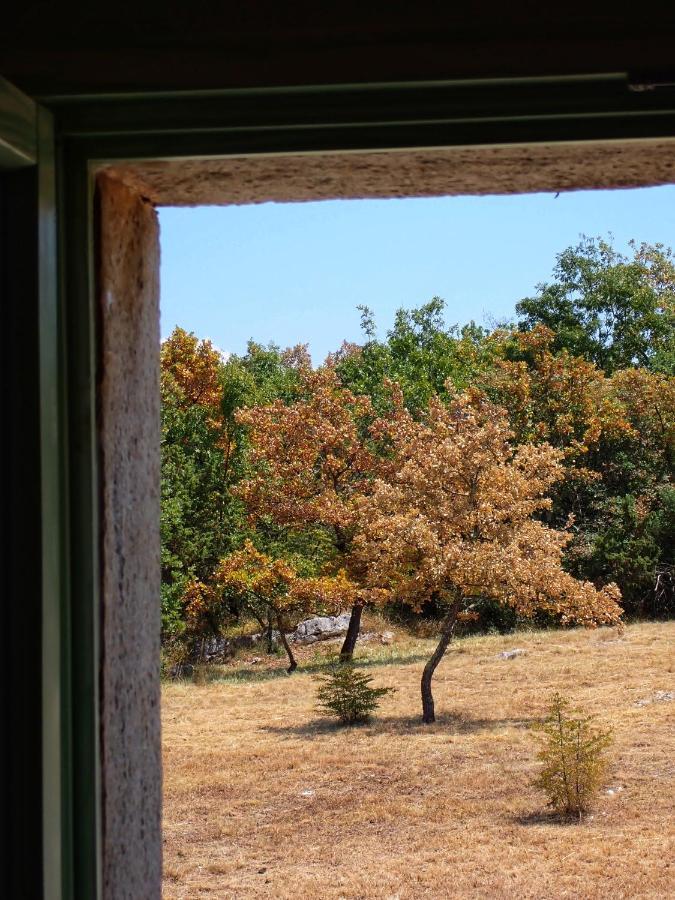 Cottage Al Merlo Olivo 부제 외부 사진
