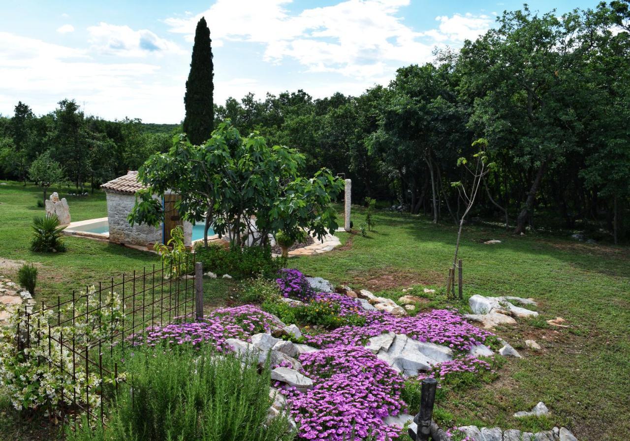 Cottage Al Merlo Olivo 부제 외부 사진