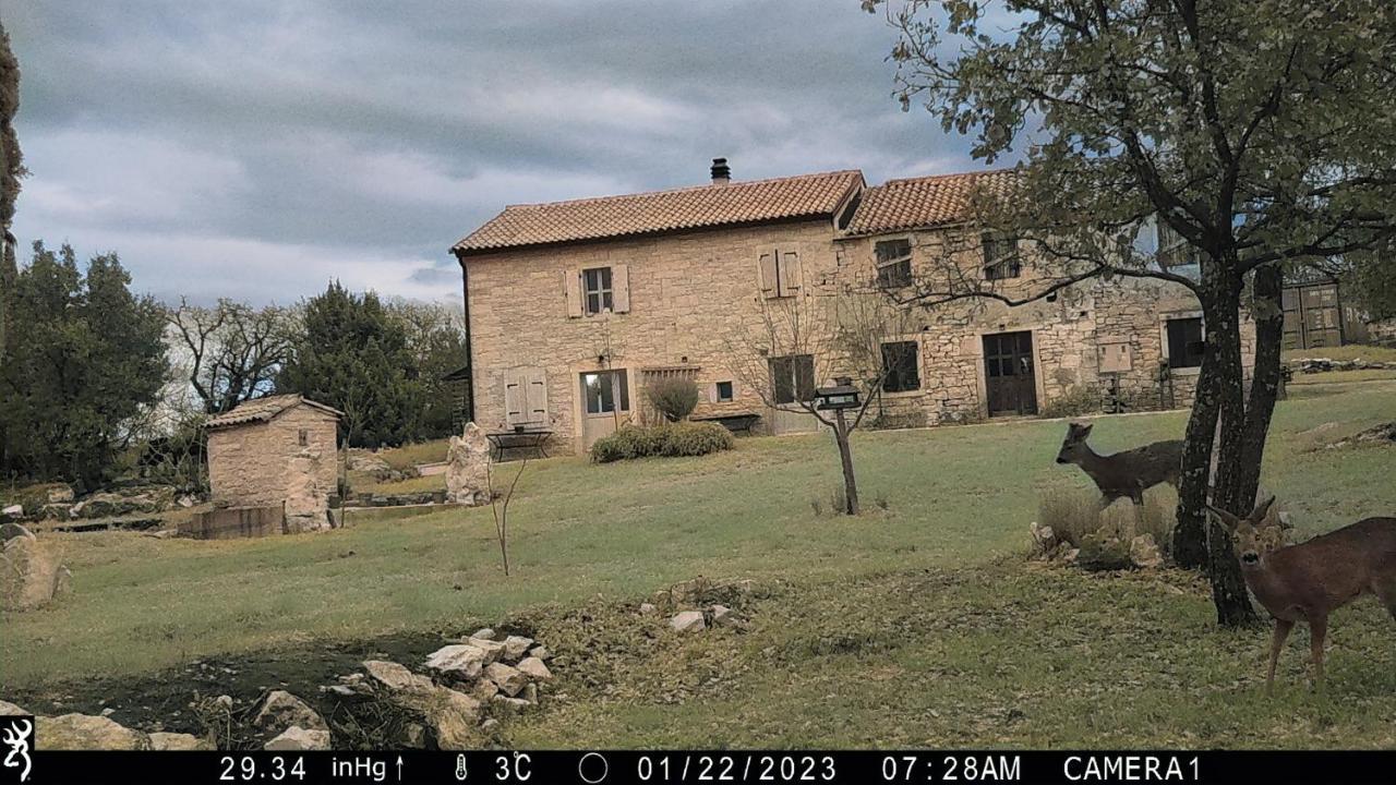 Cottage Al Merlo Olivo 부제 외부 사진